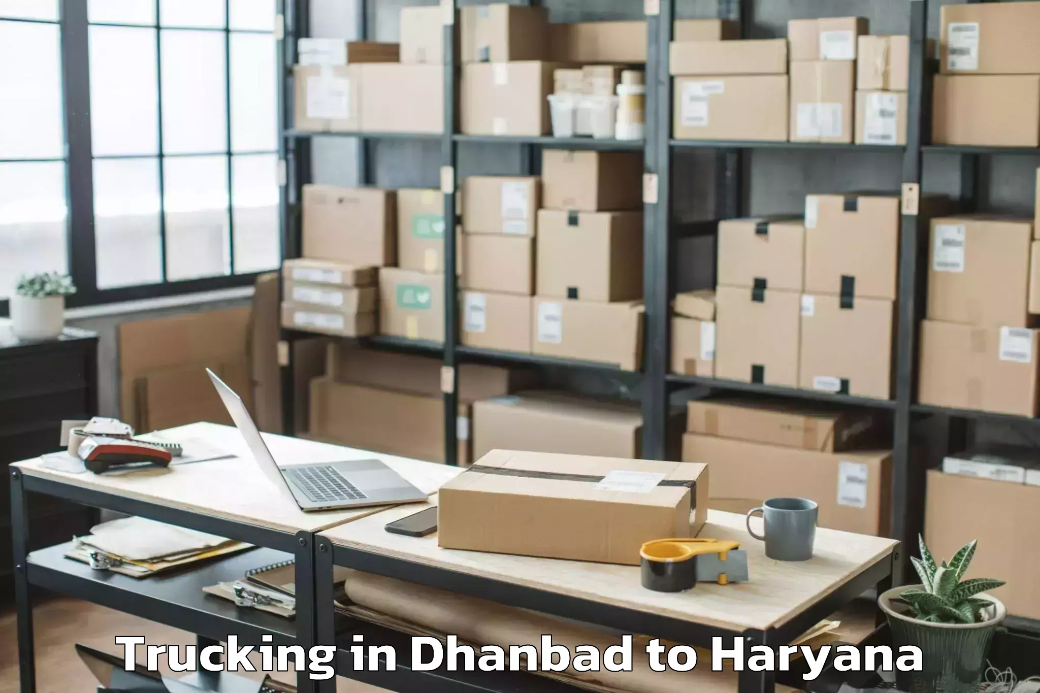 Book Dhanbad to Meham Trucking Online